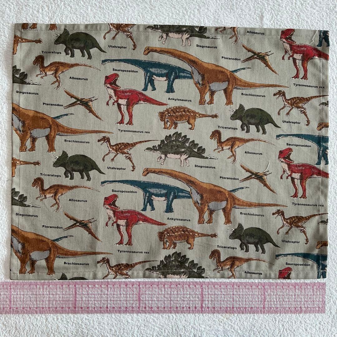 002 恐竜 給食セット×5枚　小学校 ランチョンマット ネームタグ 入学 給食