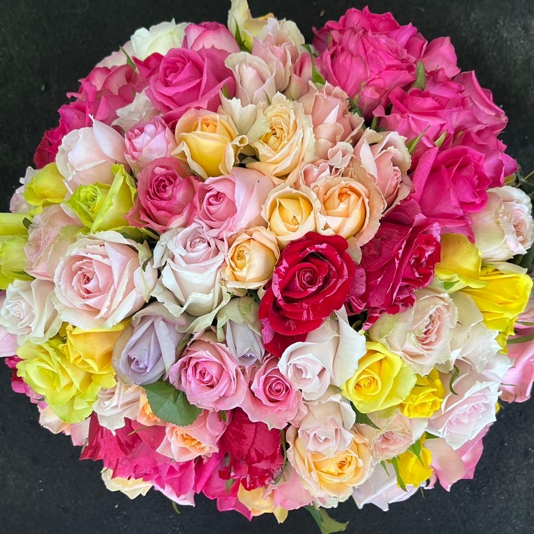 短め‼︎バラ 《切り花 生花 》おまかせMIX　20㎝100本　産地直送❗️鮮度抜群