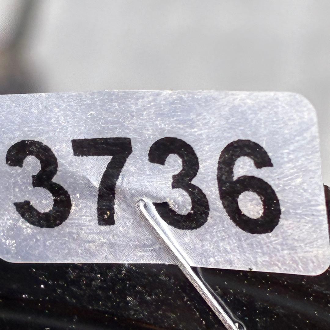 3736☘️極上☘️黒⭐️小輪⭐️美カップ⭐️極細リバースピコ⭐️スレンダー⭐️広瀬園芸⭐️