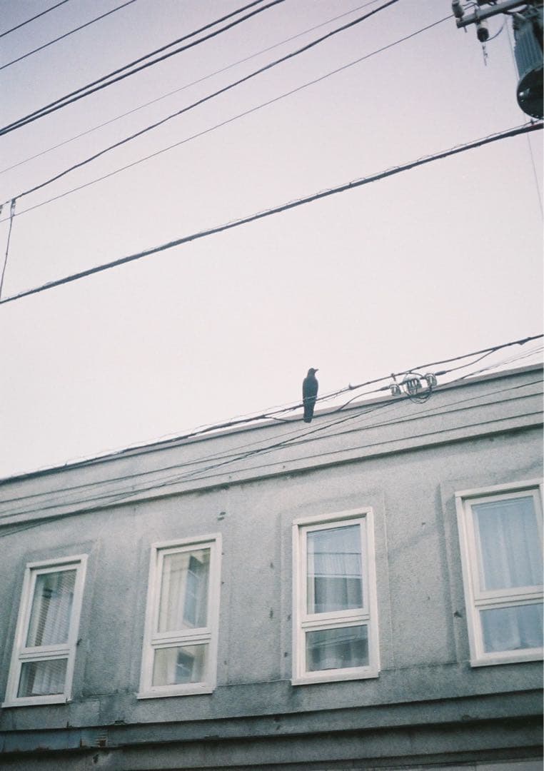 【動作確認・整備・清掃済み＊試写あり】人気！リコーオートハーフSEくすみグリーン