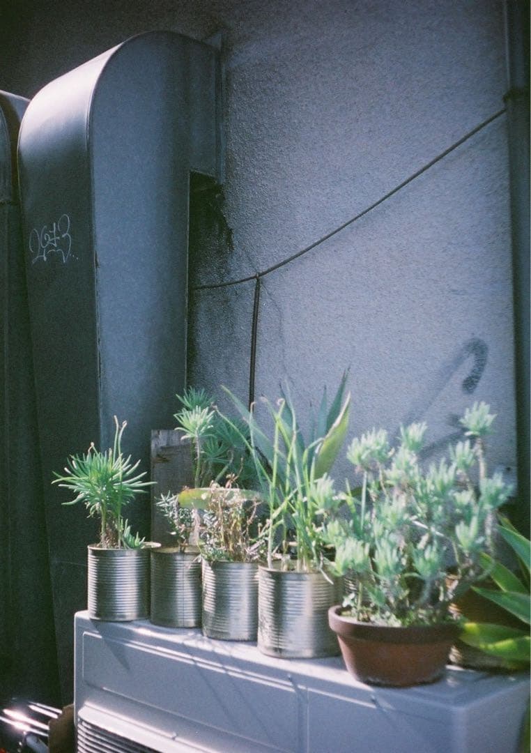 【動作確認・整備・清掃済み＊試写あり】人気！リコーオートハーフSEくすみグリーン