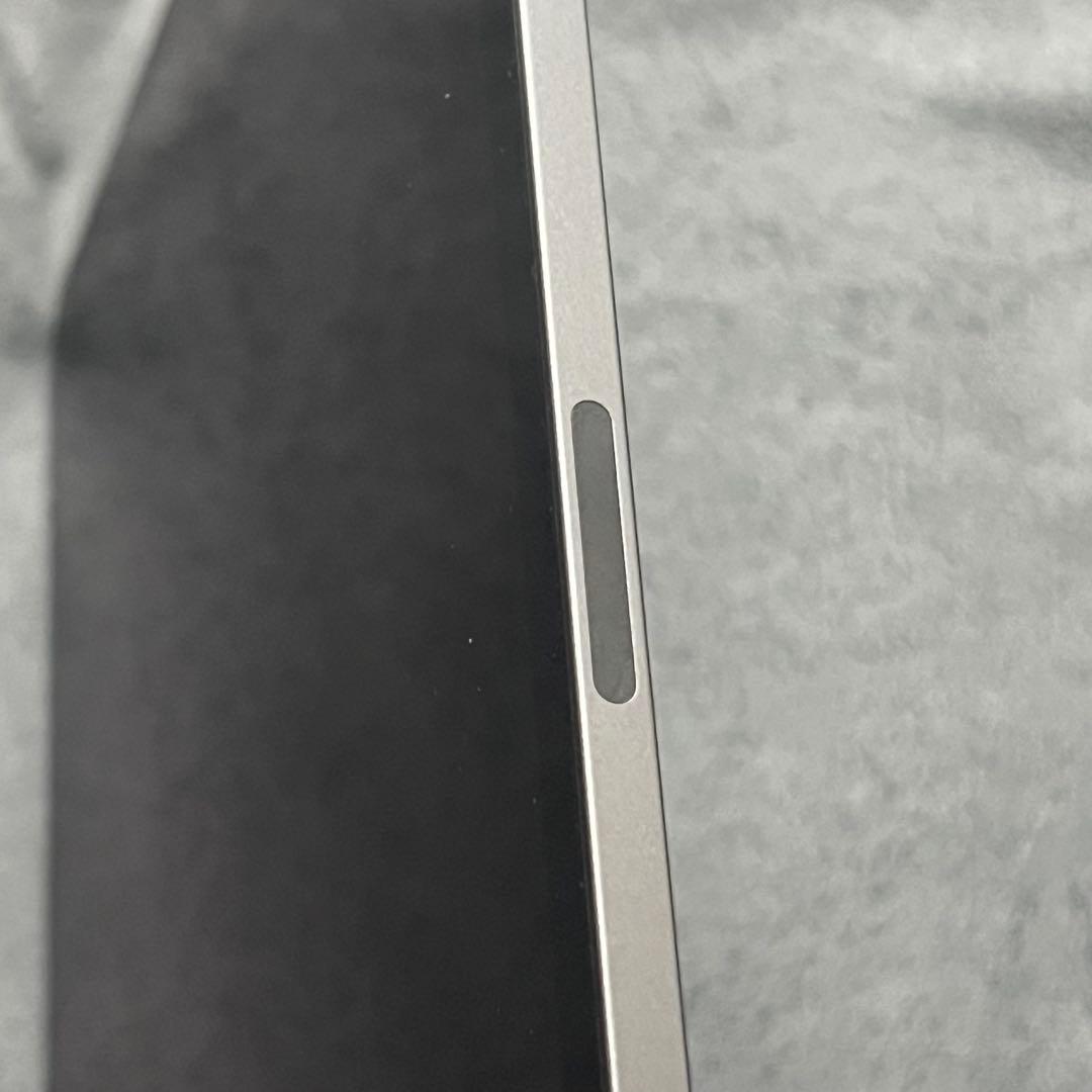 iPad Pro 12.9インチ 第5世代 ジャンク 画面表示不良 初期化済