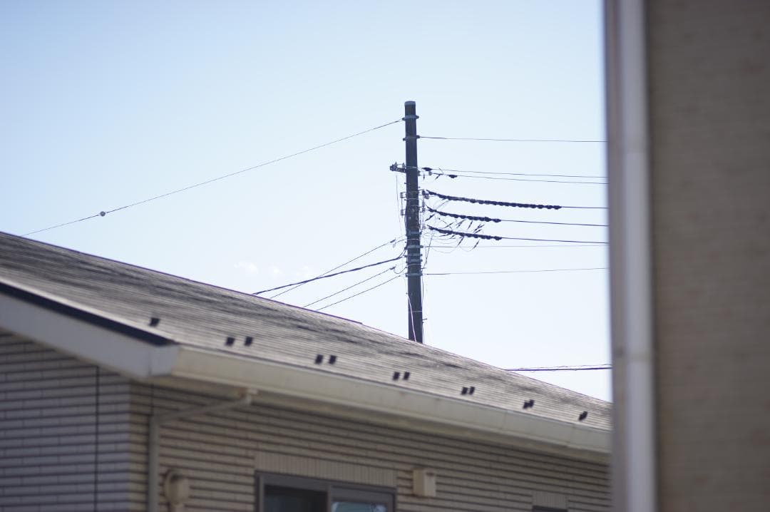 【試写】 NIKON AI-S Micro Nikkor 105mm F2.8