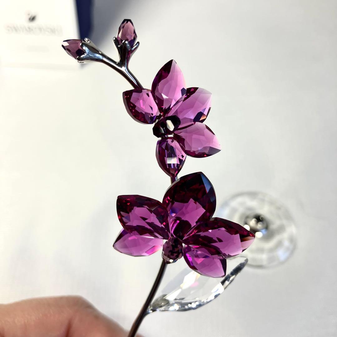 スワロフスキー Swarovski Flower Dreams 蘭 オーキッド