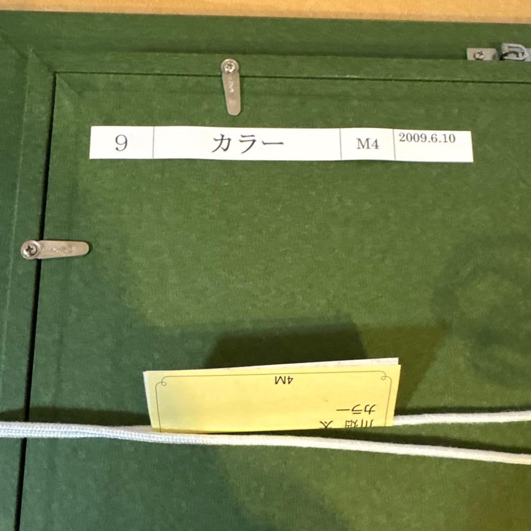 三越美術部取扱 川畑太「カラ―」2010年個展作品 額装 絵画 花 カラー