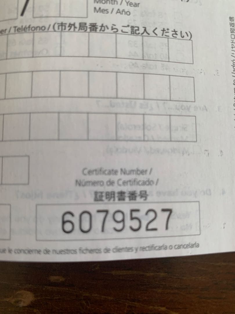 リアドロ　春の訪れ