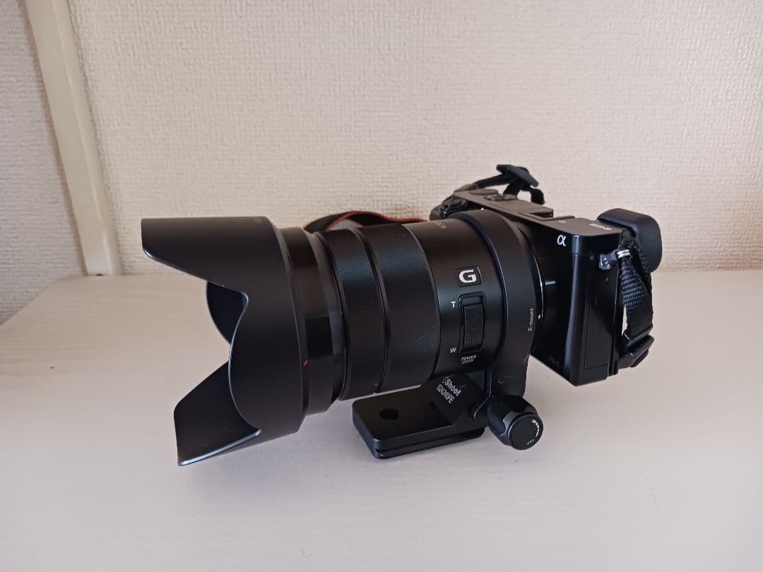SONYα6000 E PZ 18-105mm F4 G OSS