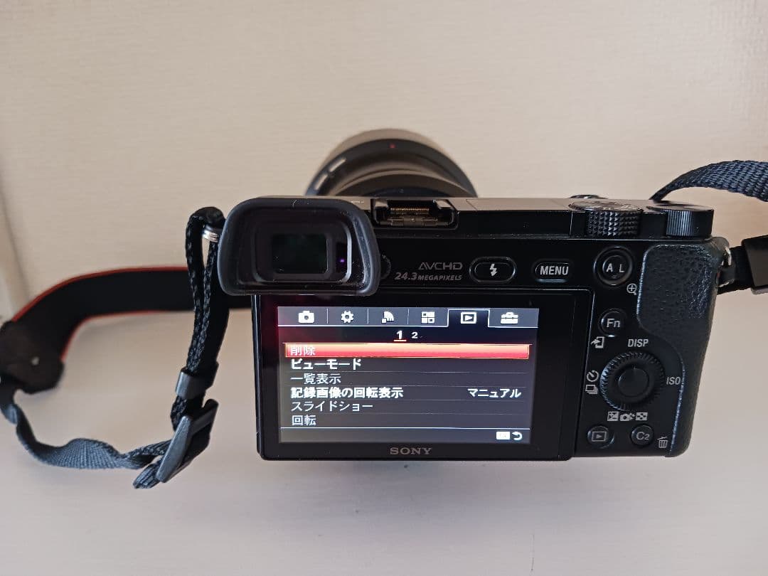 SONYα6000 E PZ 18-105mm F4 G OSS