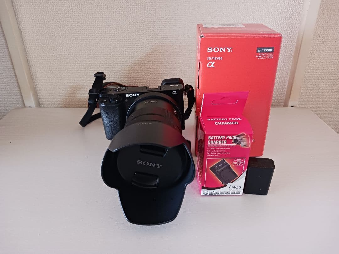 SONYα6000 E PZ 18-105mm F4 G OSS
