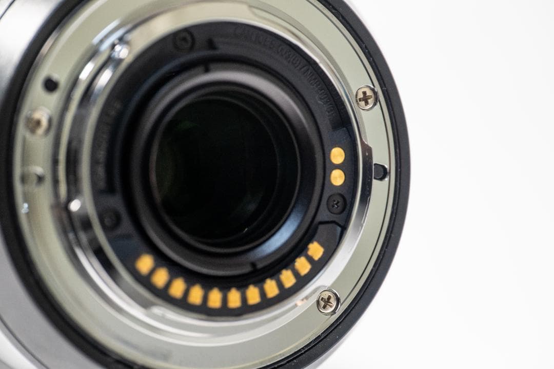 レンズ(ズーム) LEICA DG VARIO 100-400mm II H-RSA100400