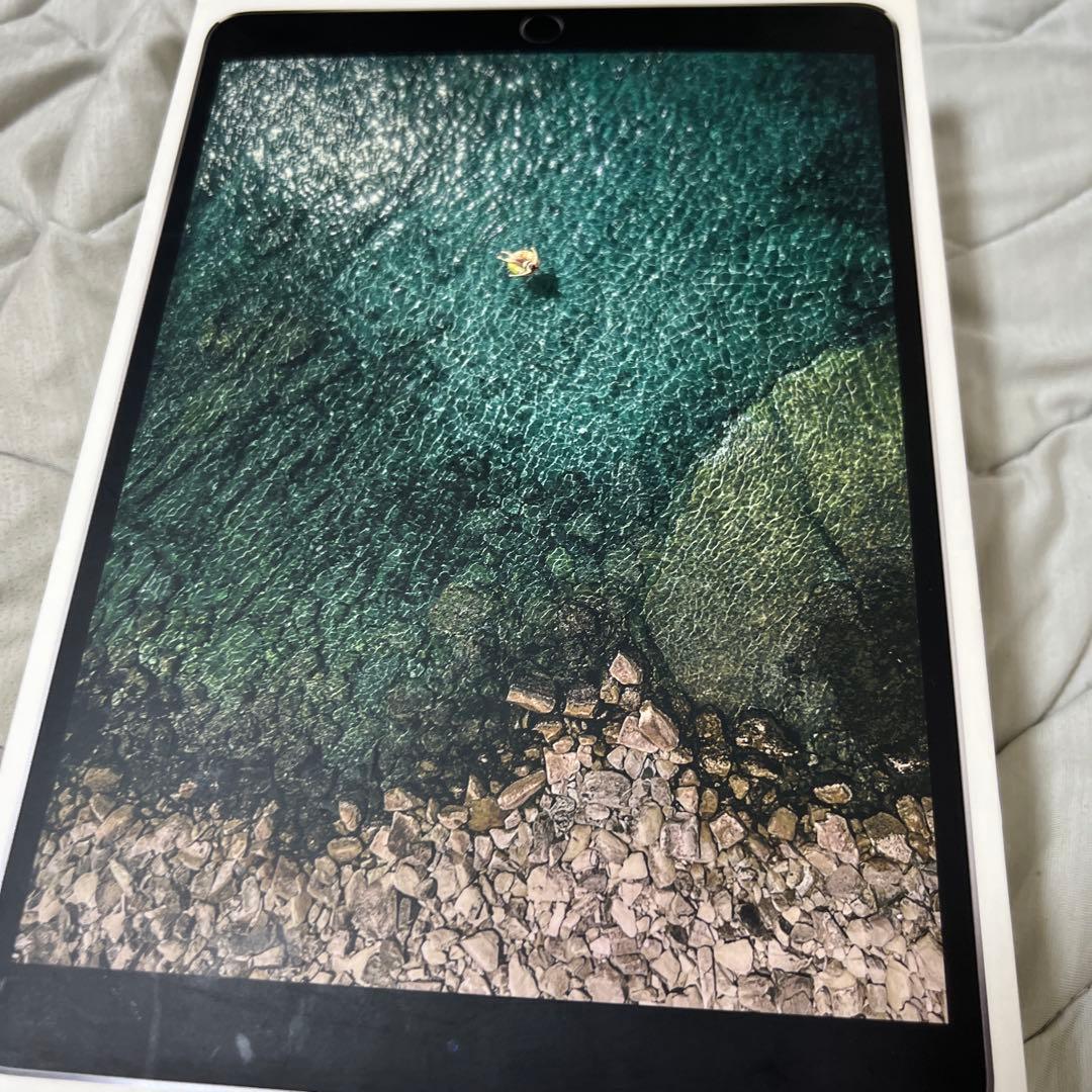 iPad本体 APPLEiPad Pro 10.5 Wi-Fi +Cellular 64GB