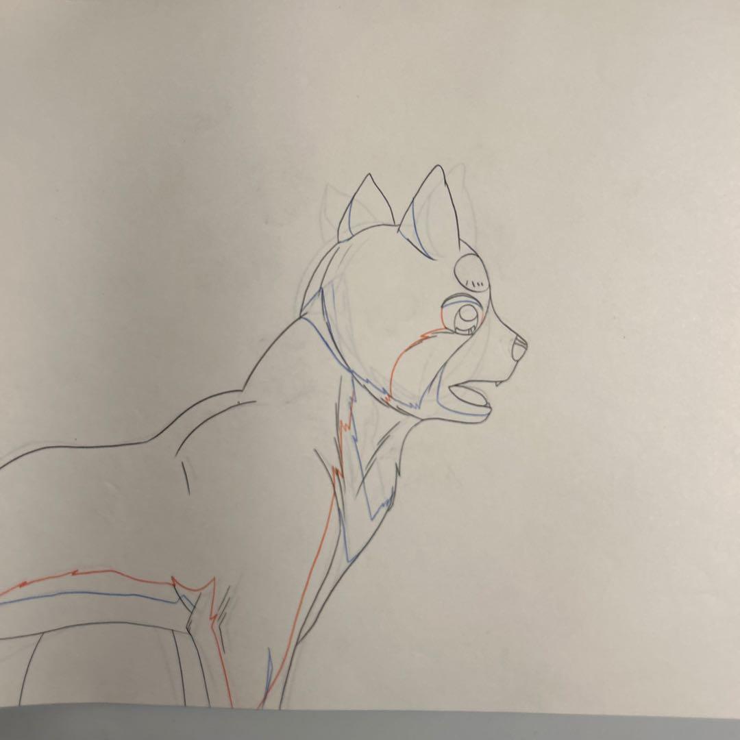 高橋よしひろ「銀牙伝説WEED」動画24枚セット