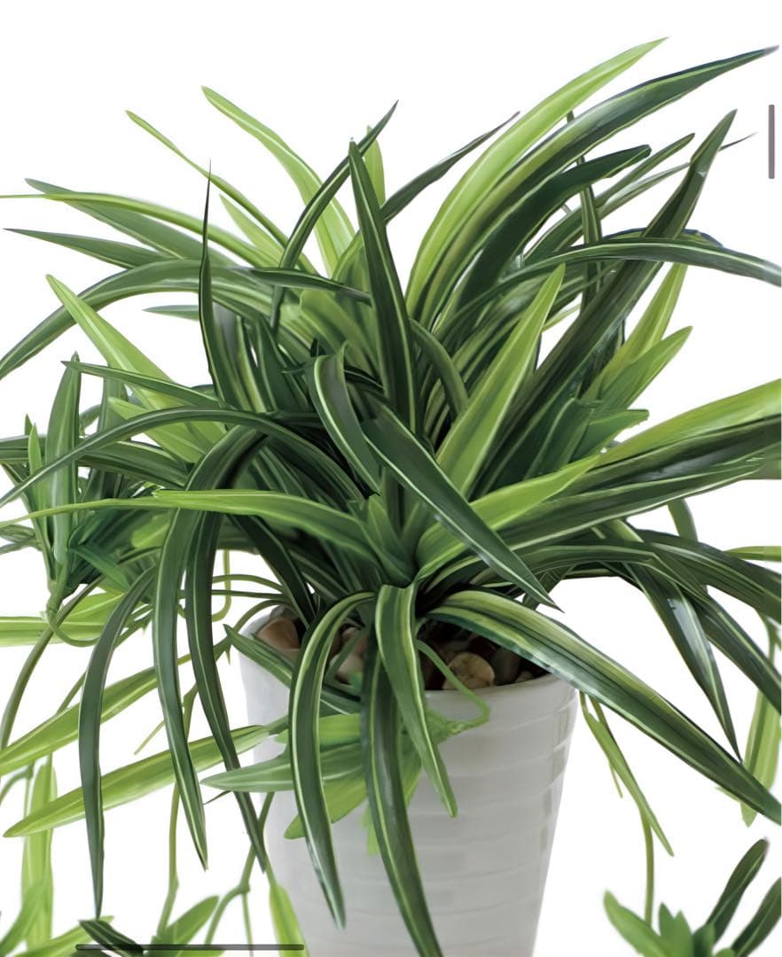 光触媒　人工観葉植物　ウォールグリーン　フェイクグリーン　ドラセナ丸ポット@