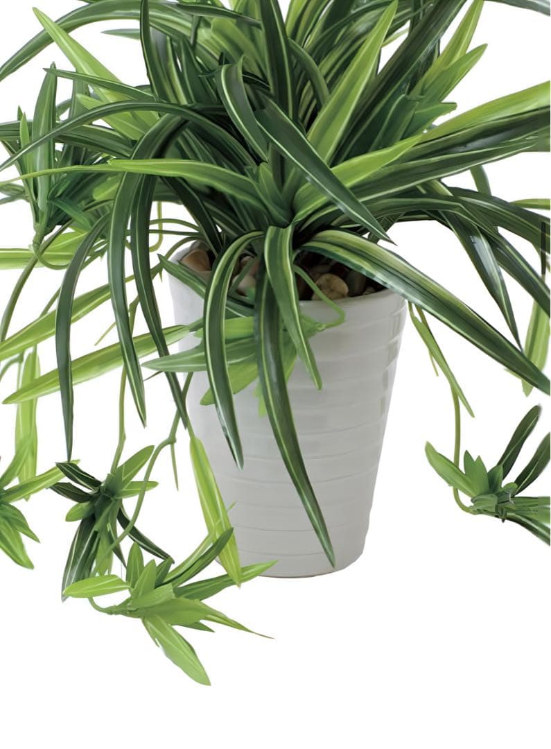 光触媒　人工観葉植物　ウォールグリーン　フェイクグリーン　ドラセナ丸ポット@