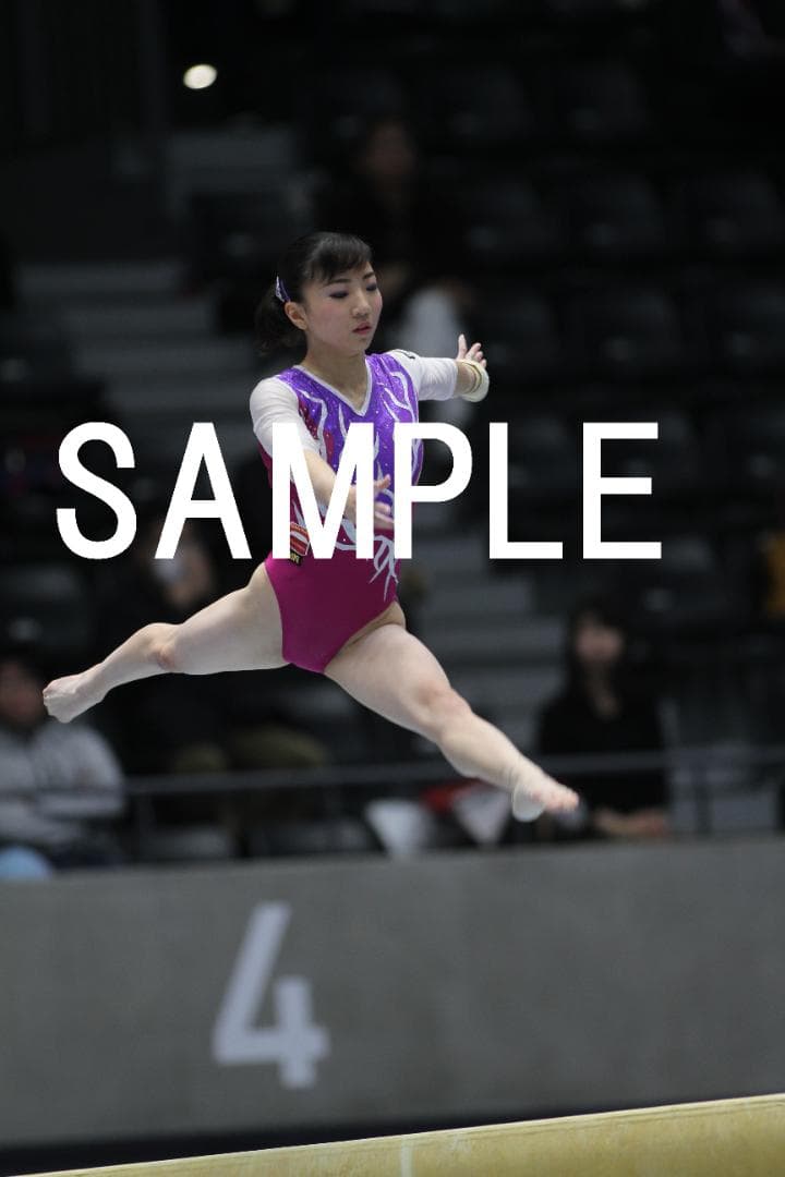 【値下中】2017年全日本団体体操　日本女子体操画像集①　約9,000枚