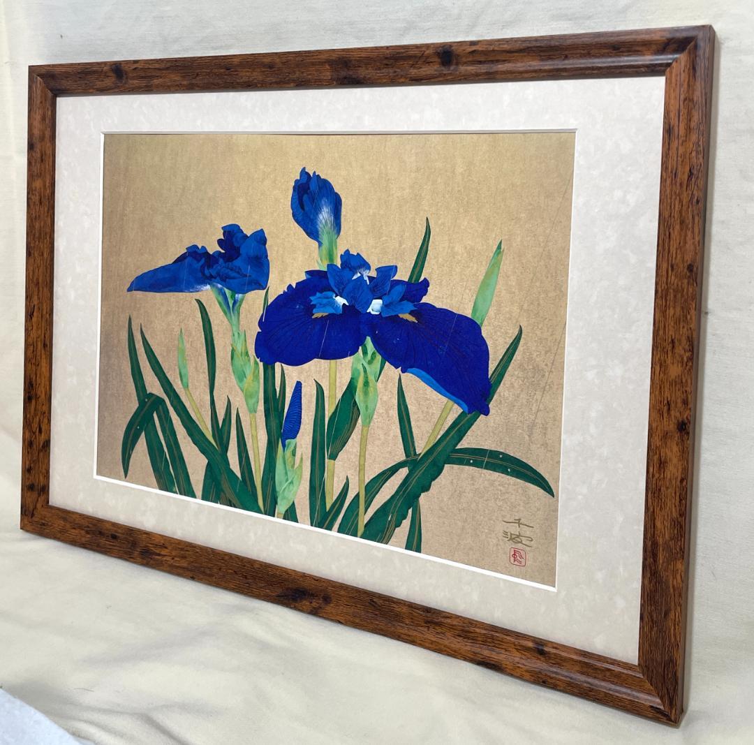 中島千波 『花菖蒲』静物　ポスター 複製画　額付新品　日本画 金色背景