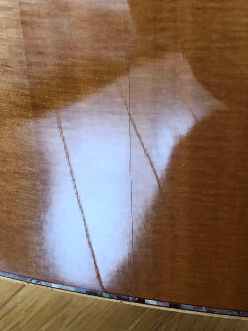 DCT DR-742E エレクトリックアコースティックギター 新品弦+ケース付き