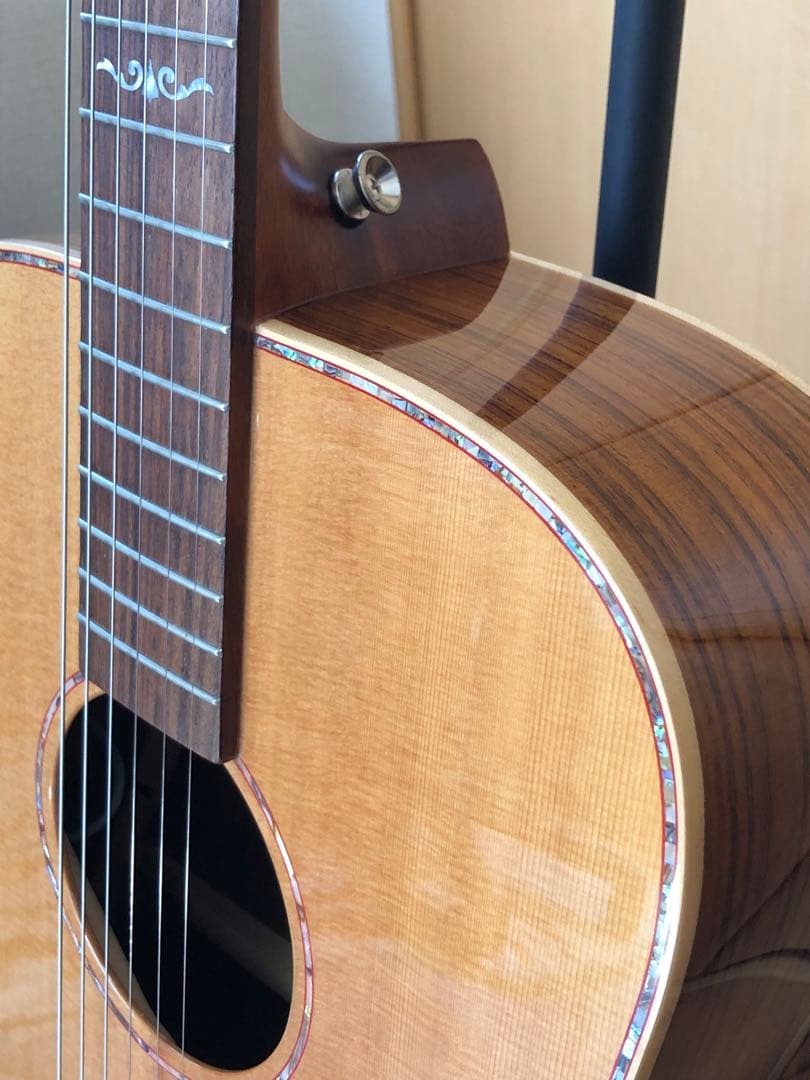 DCT DR-742E エレクトリックアコースティックギター 新品弦+ケース付き