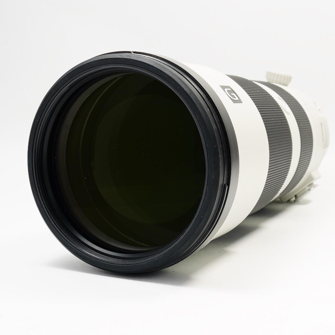 極美品 Sony FE 200-600mm F5.6-6.3 G OSS 野鳥