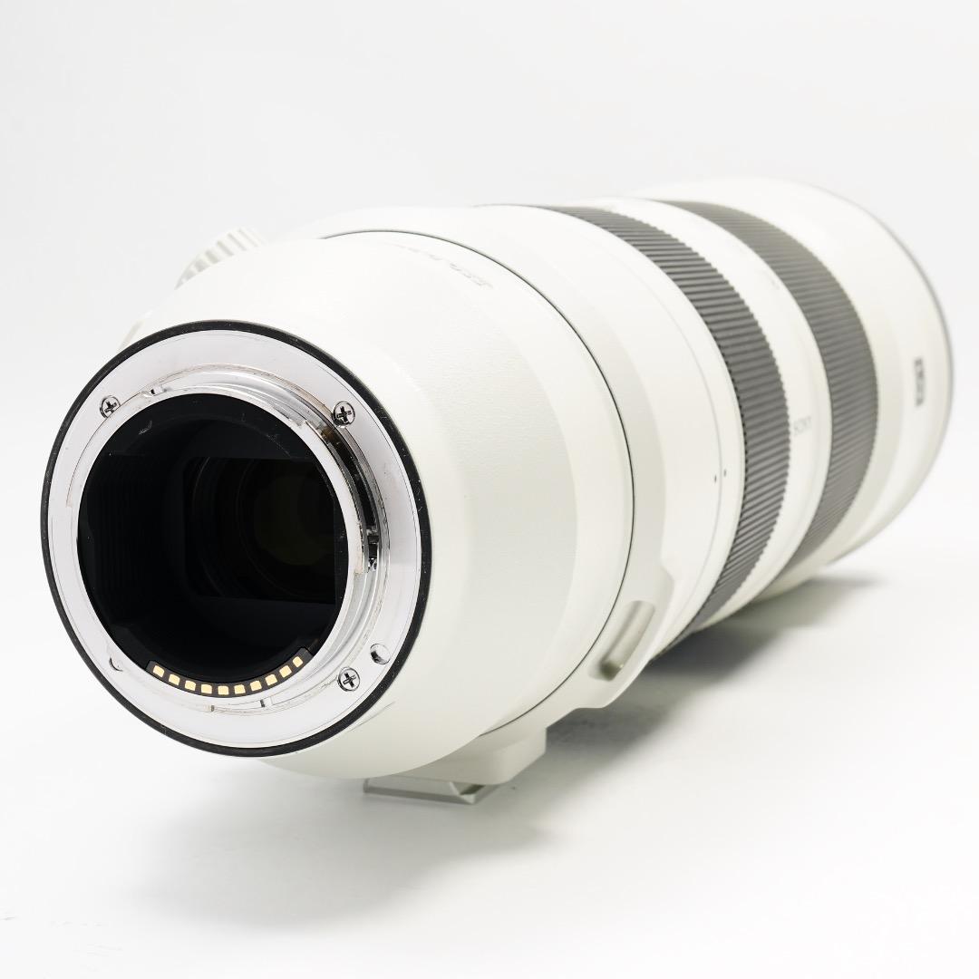 極美品 Sony FE 200-600mm F5.6-6.3 G OSS 野鳥