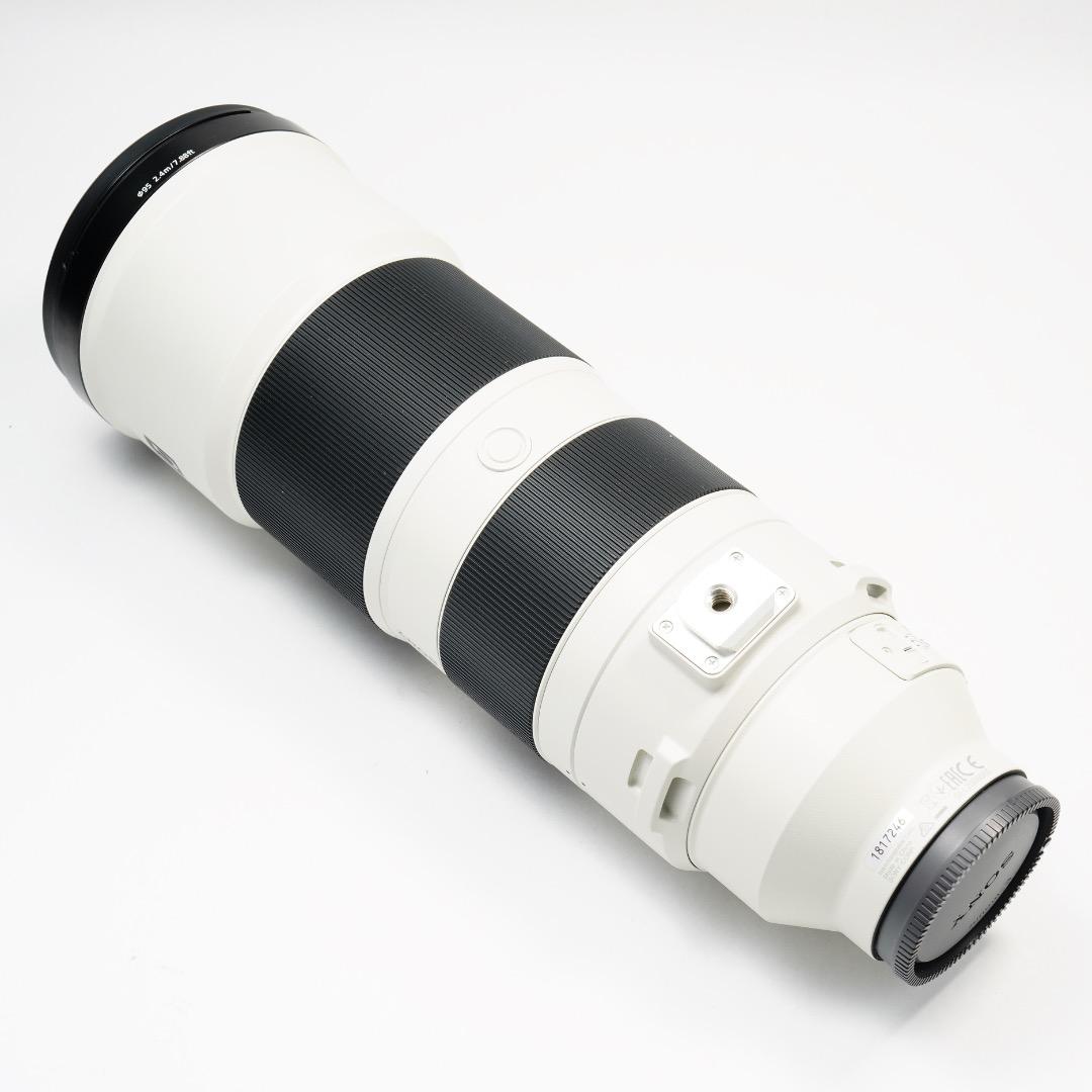極美品 Sony FE 200-600mm F5.6-6.3 G OSS 野鳥