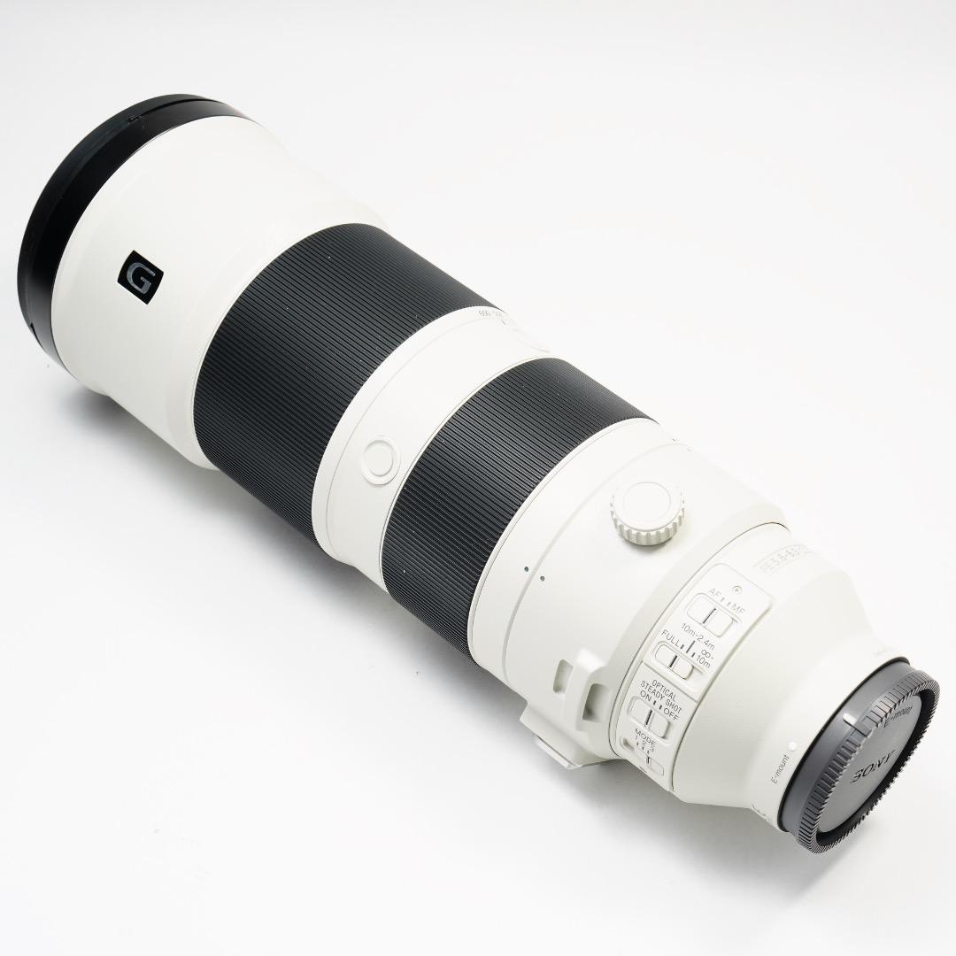 極美品 Sony FE 200-600mm F5.6-6.3 G OSS 野鳥