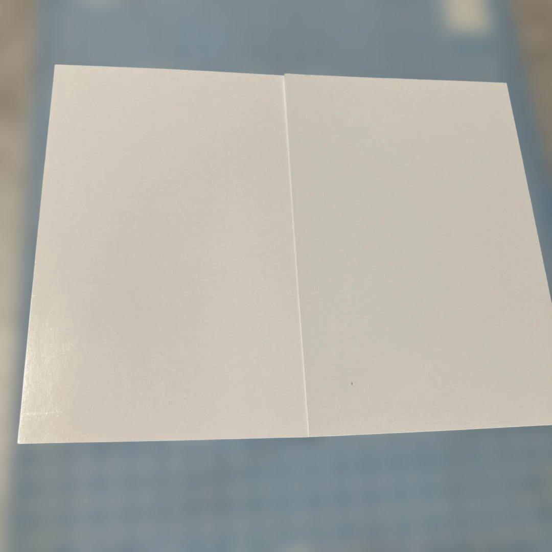 マブラヴ オルタネイティヴ　イラストカード　2枚