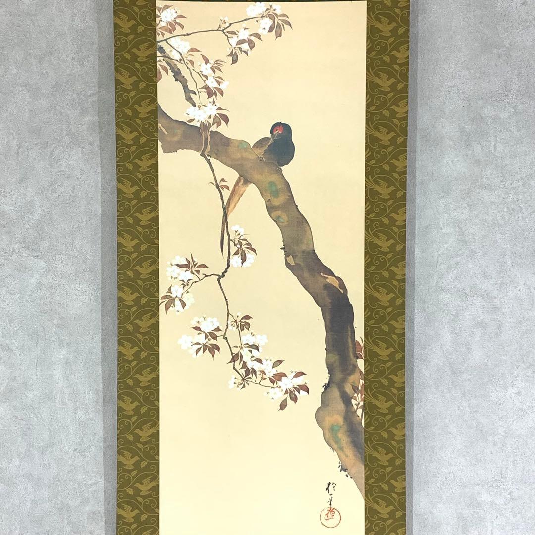 1-39 掛軸 酒井抱一 桜花雉子図 木箱 工芸 印刷 花鳥図 2月