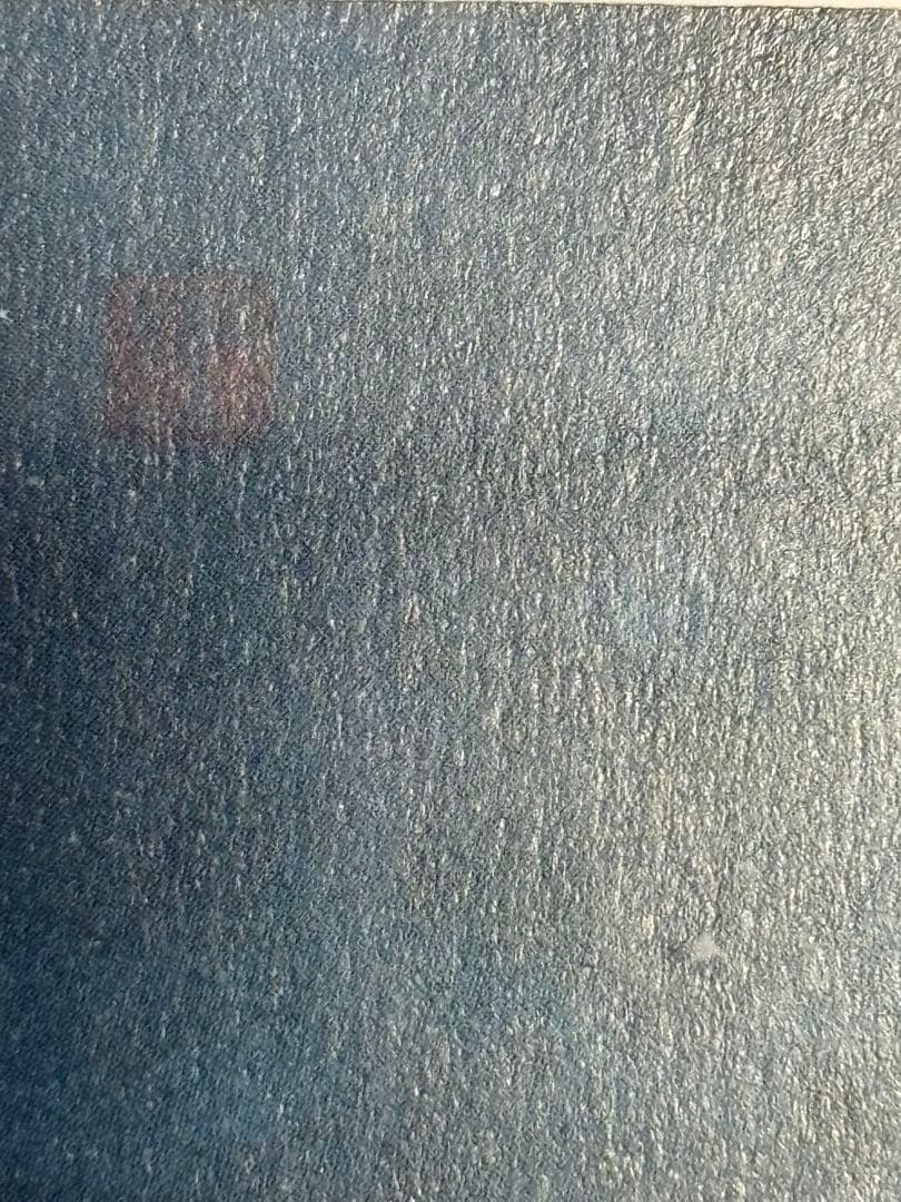 リトグラフ作品　春兆？QW4757