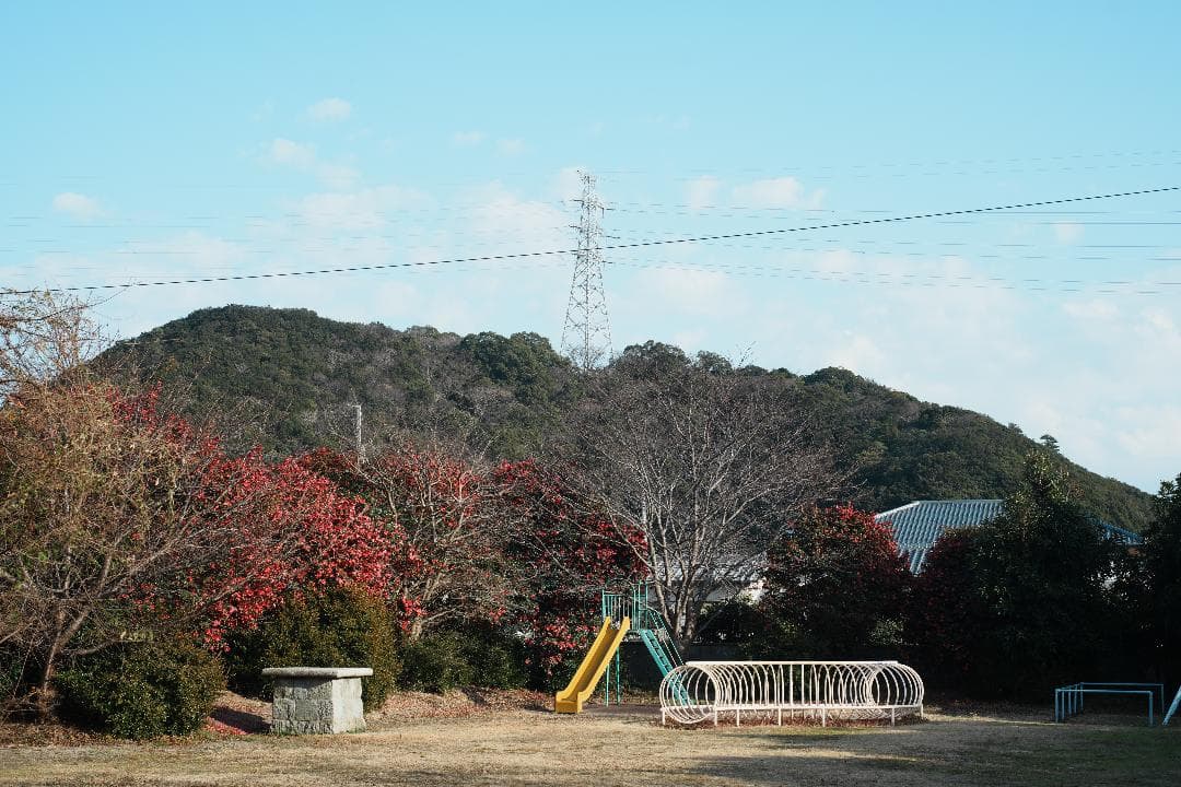 【この値段でライカ級】富岡光学製 XR RIKENON 50mm F2 835