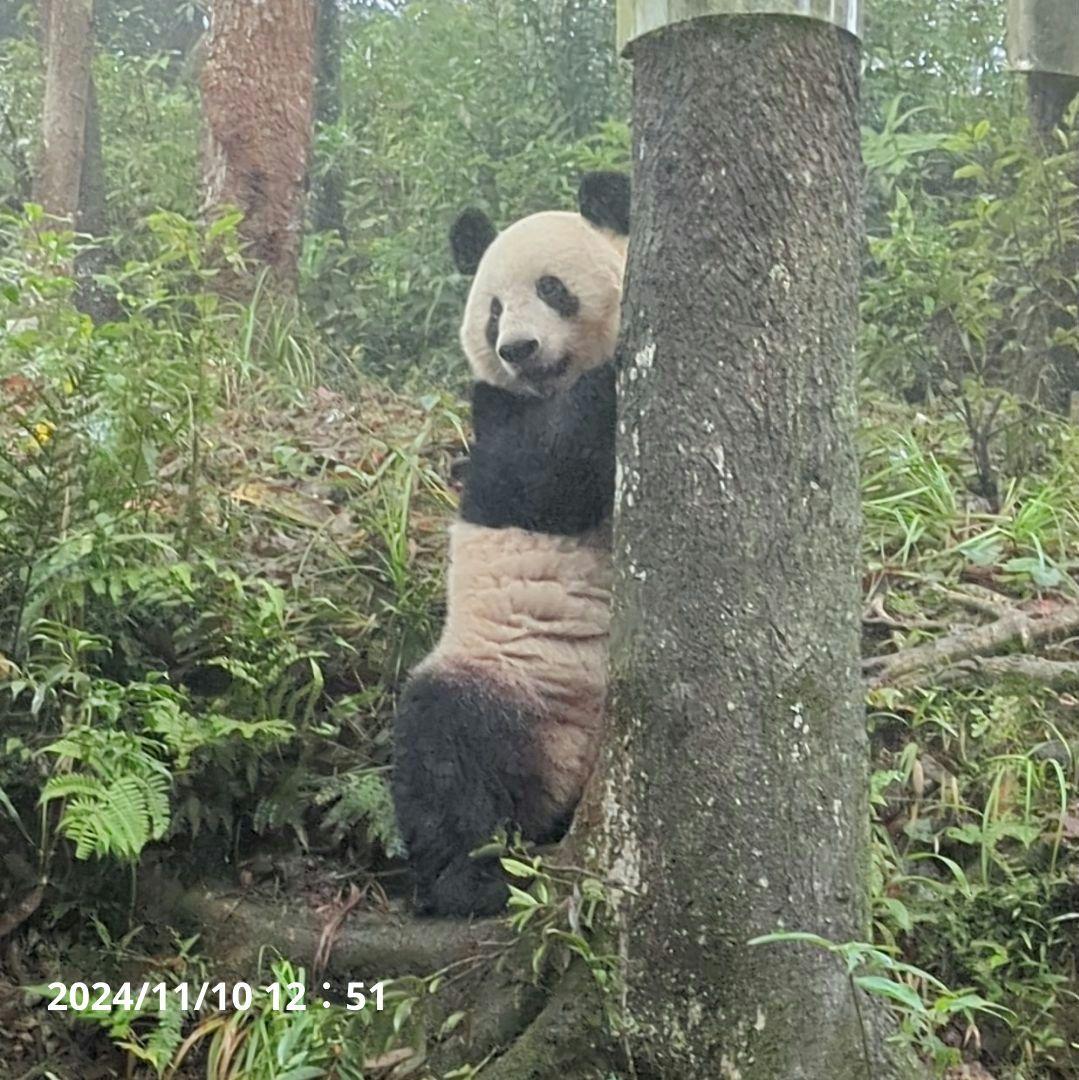 【11/16発売予定】シャンタシャン♡もふもふポンチョ