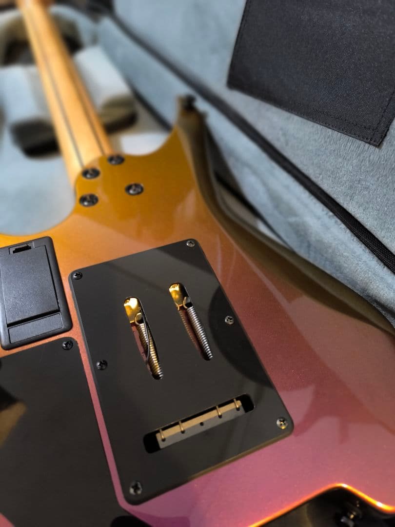 ギター HEX Guitars N600 UG