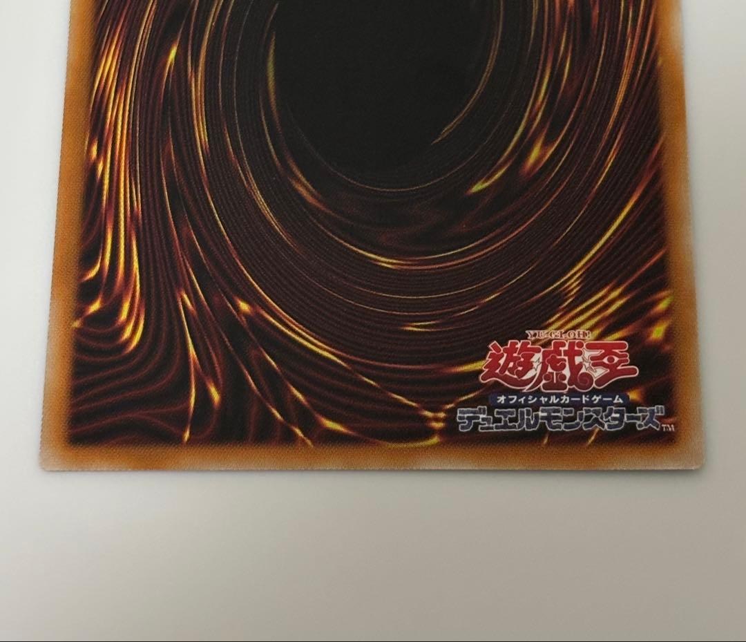 遊戯王　霊王の皮動
