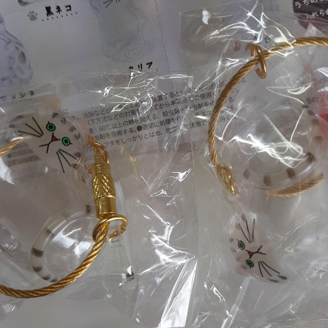 吉住渉先生　ミントな僕ら　直筆サイン入り色紙　　名入　りぼん連載