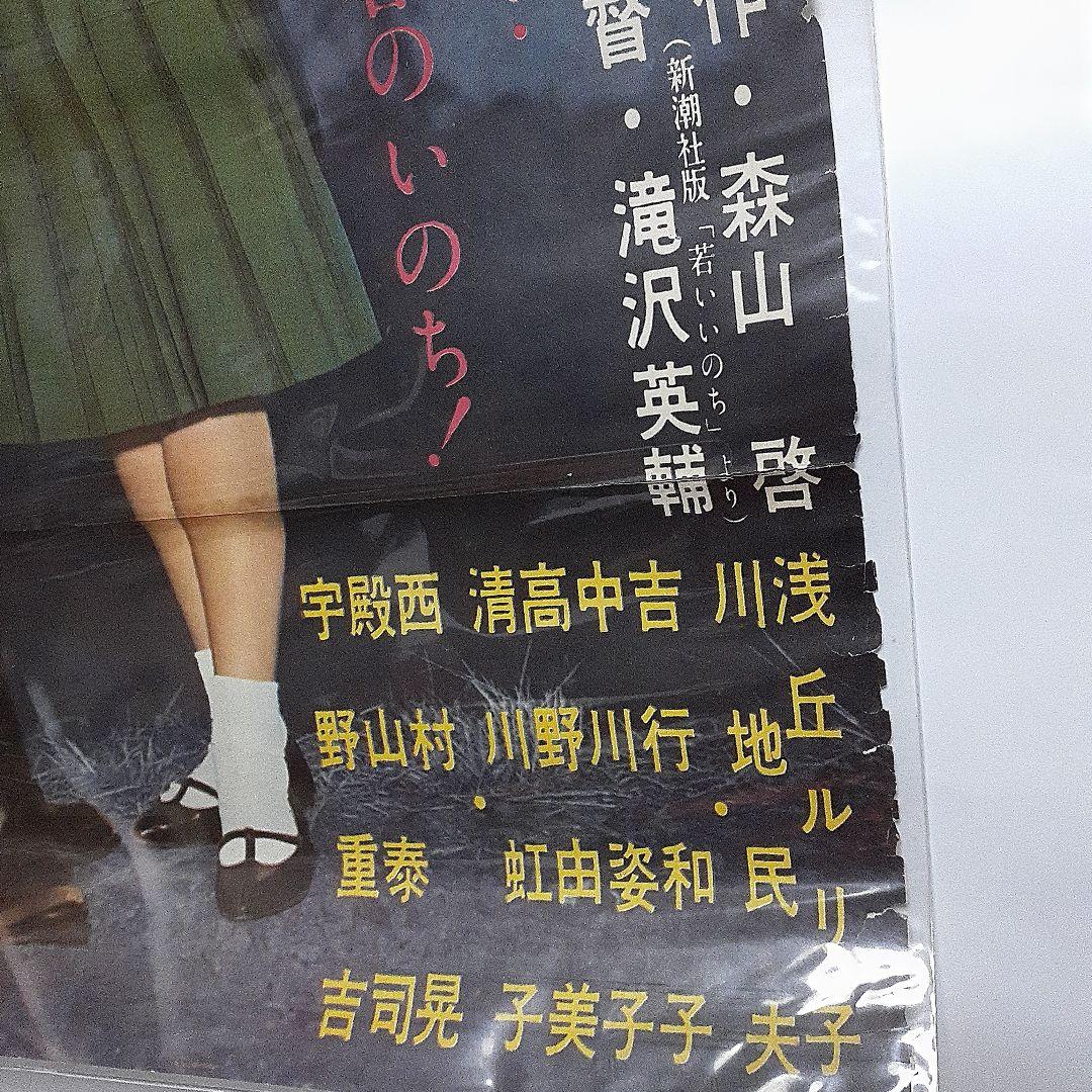 日活スコープ　雑草のような命映画ポスター