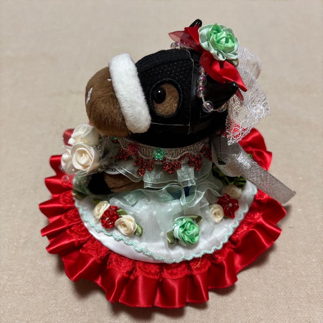 アイドルホース❣️ドレス❣️マント❣️