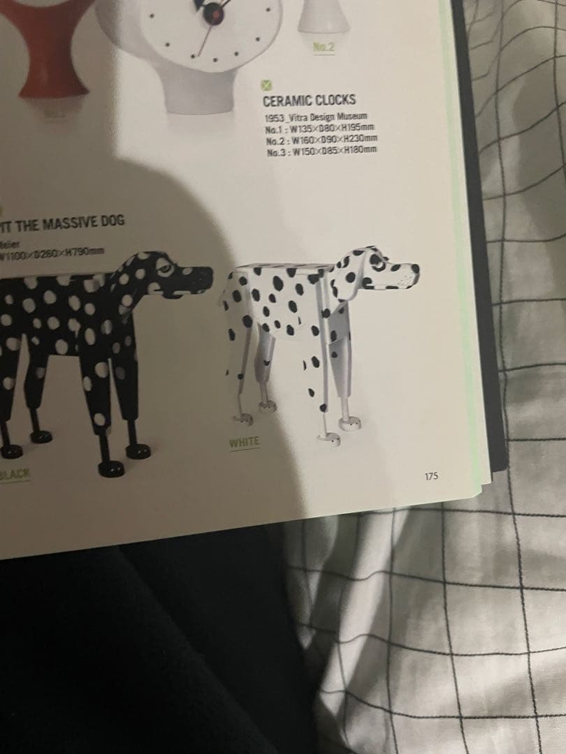 Pit the Massive Dog お値下げ不可