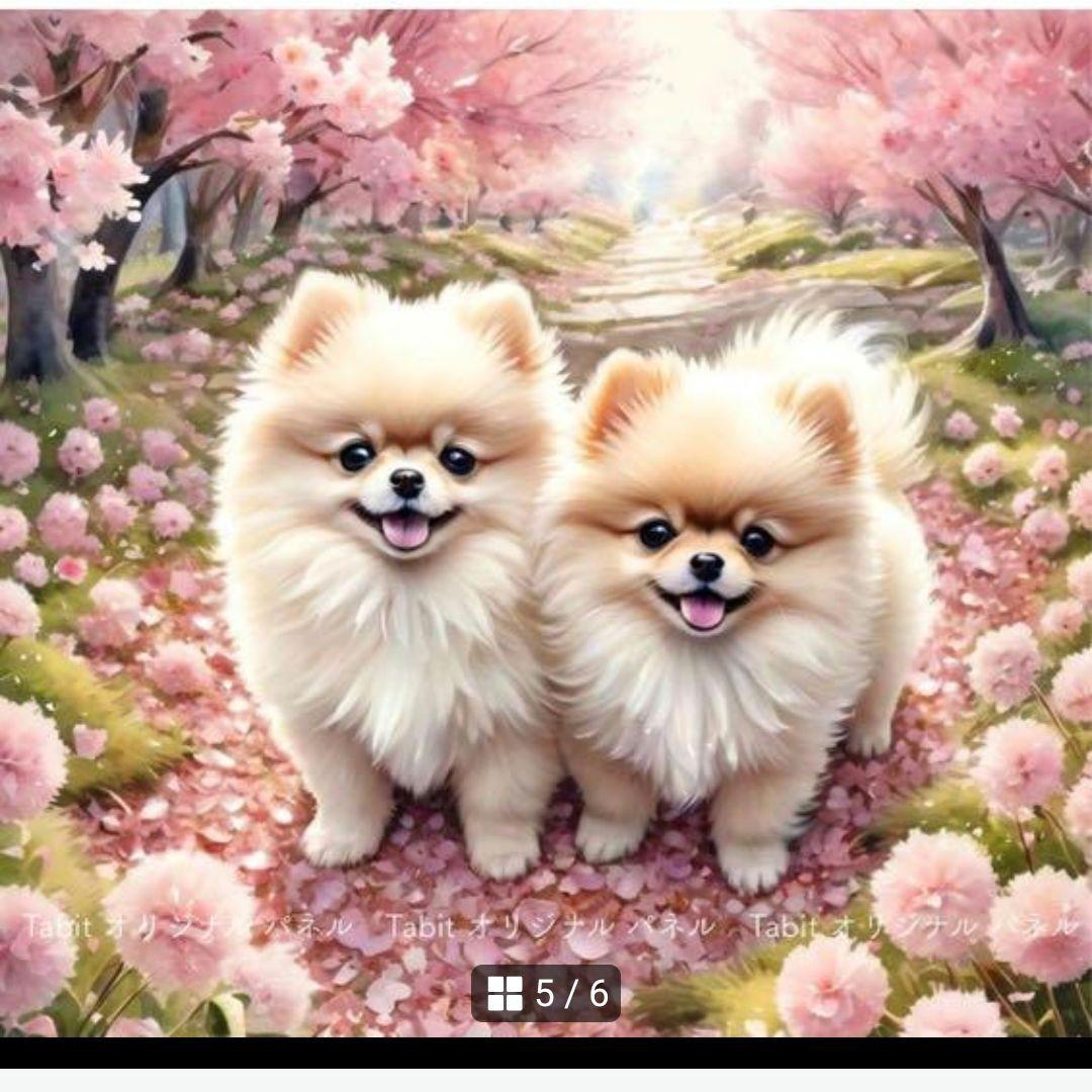 春のポメラニアンパネル生地　ハンドメイド