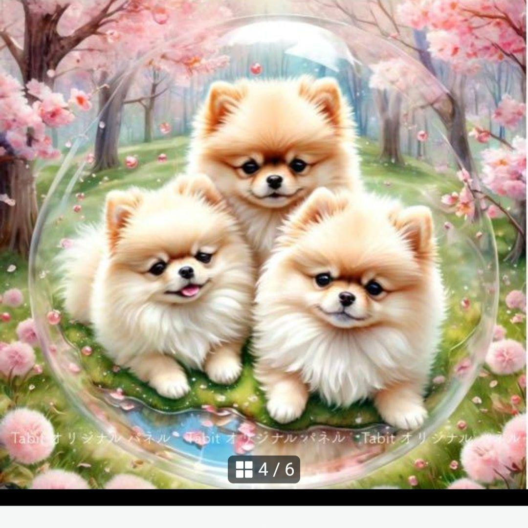 春のポメラニアンパネル生地　ハンドメイド