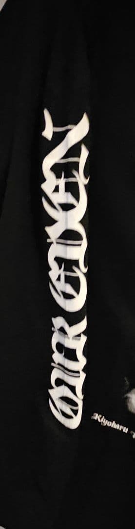 清春　ロンT　カットソー XL 2/9 余る程に楽園 物販 Tシャツ　試着のみ