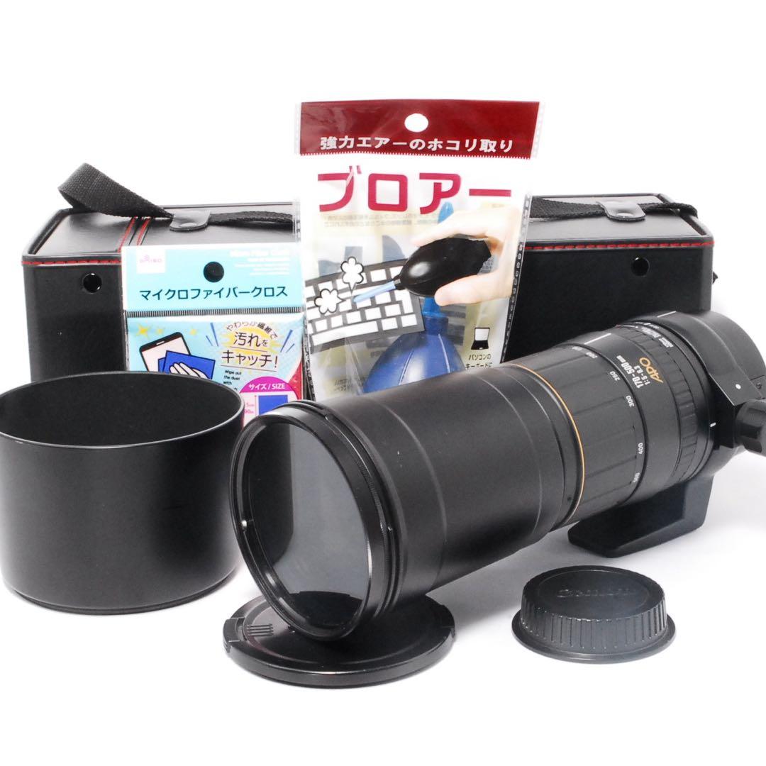 超望遠の世界へ❤️SIGMA APO 170-500mm F5-6.3 Canon