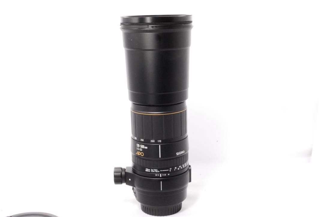 超望遠の世界へ❤️SIGMA APO 170-500mm F5-6.3 Canon