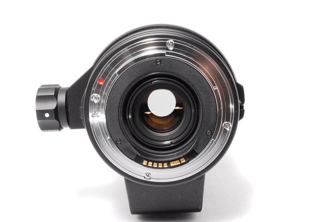 超望遠の世界へ❤️SIGMA APO 170-500mm F5-6.3 Canon