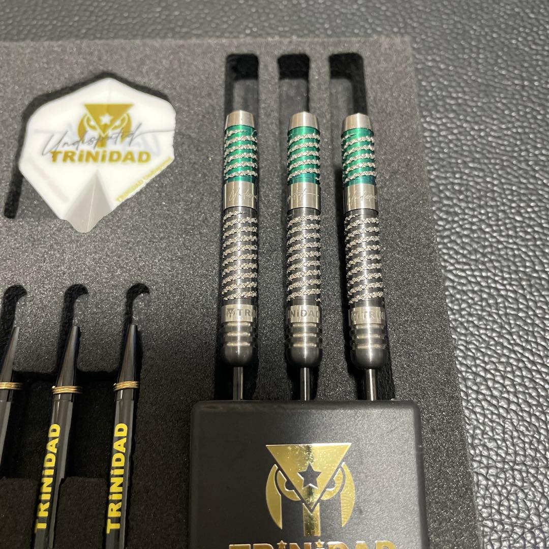 ダーツ　リカルドタイプ2 スティール　浅田斉吾プロモデル