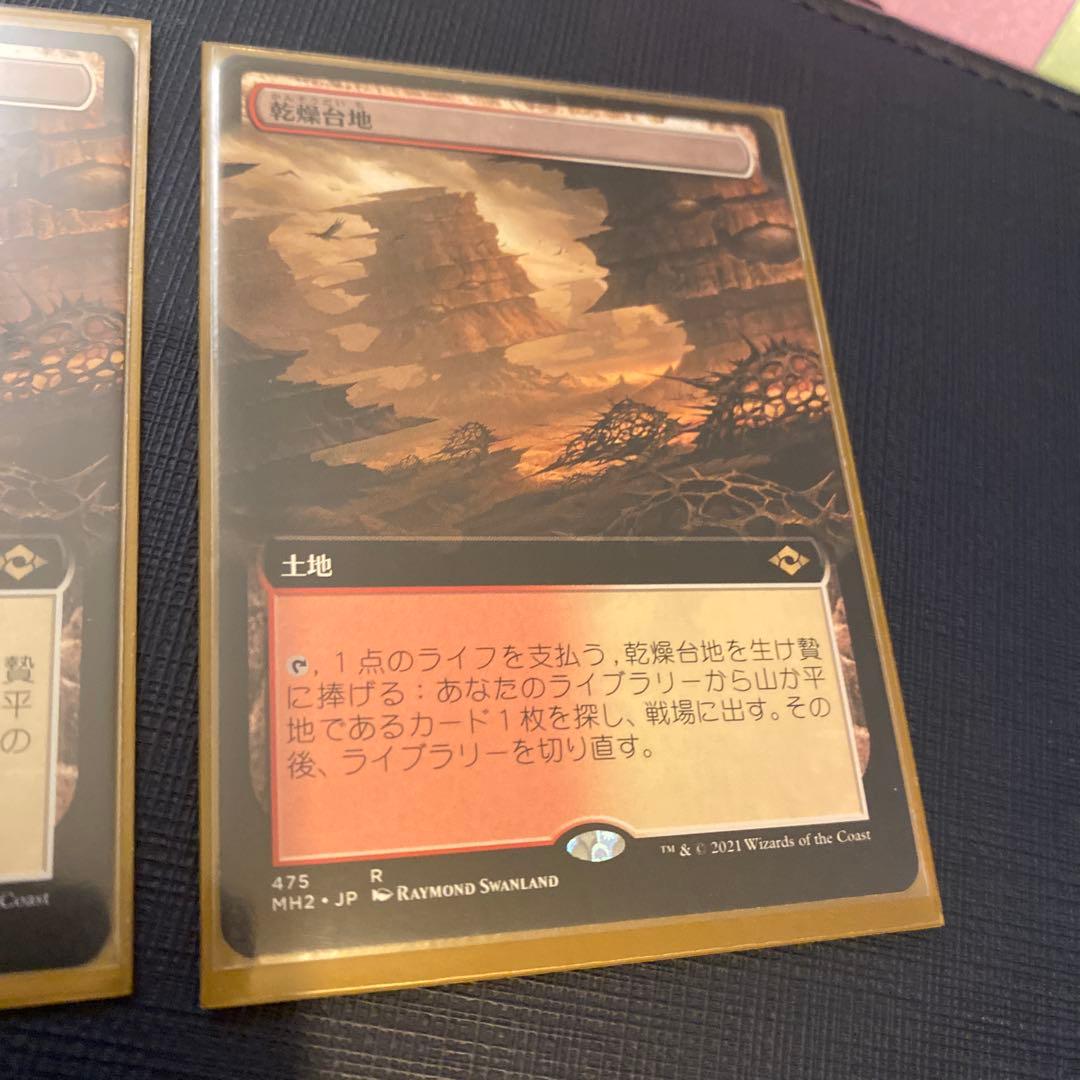マジック：ザ・ギャザリング 乾燥台地 拡張版　R 2枚セット