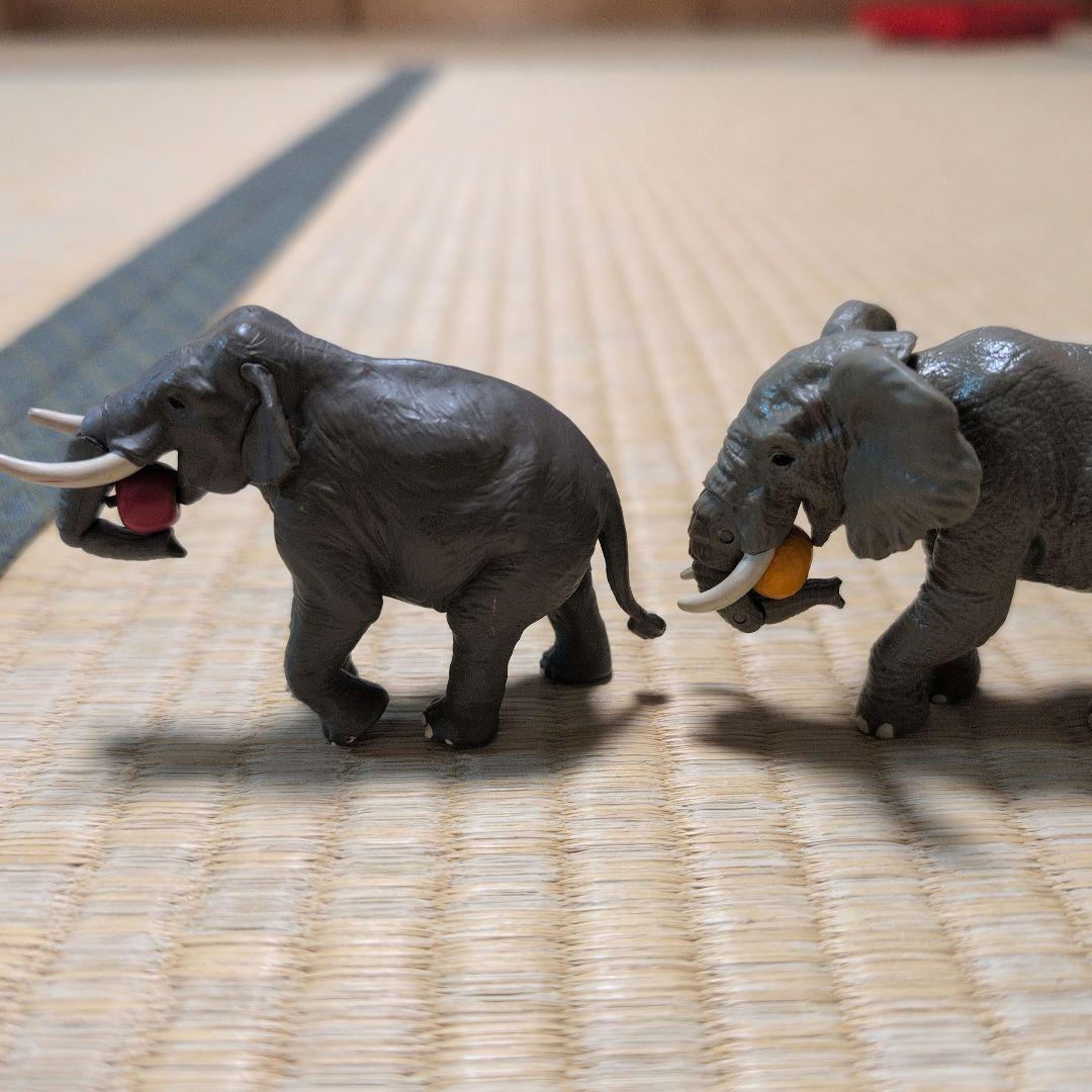 アニア　動物フィギュア　44体