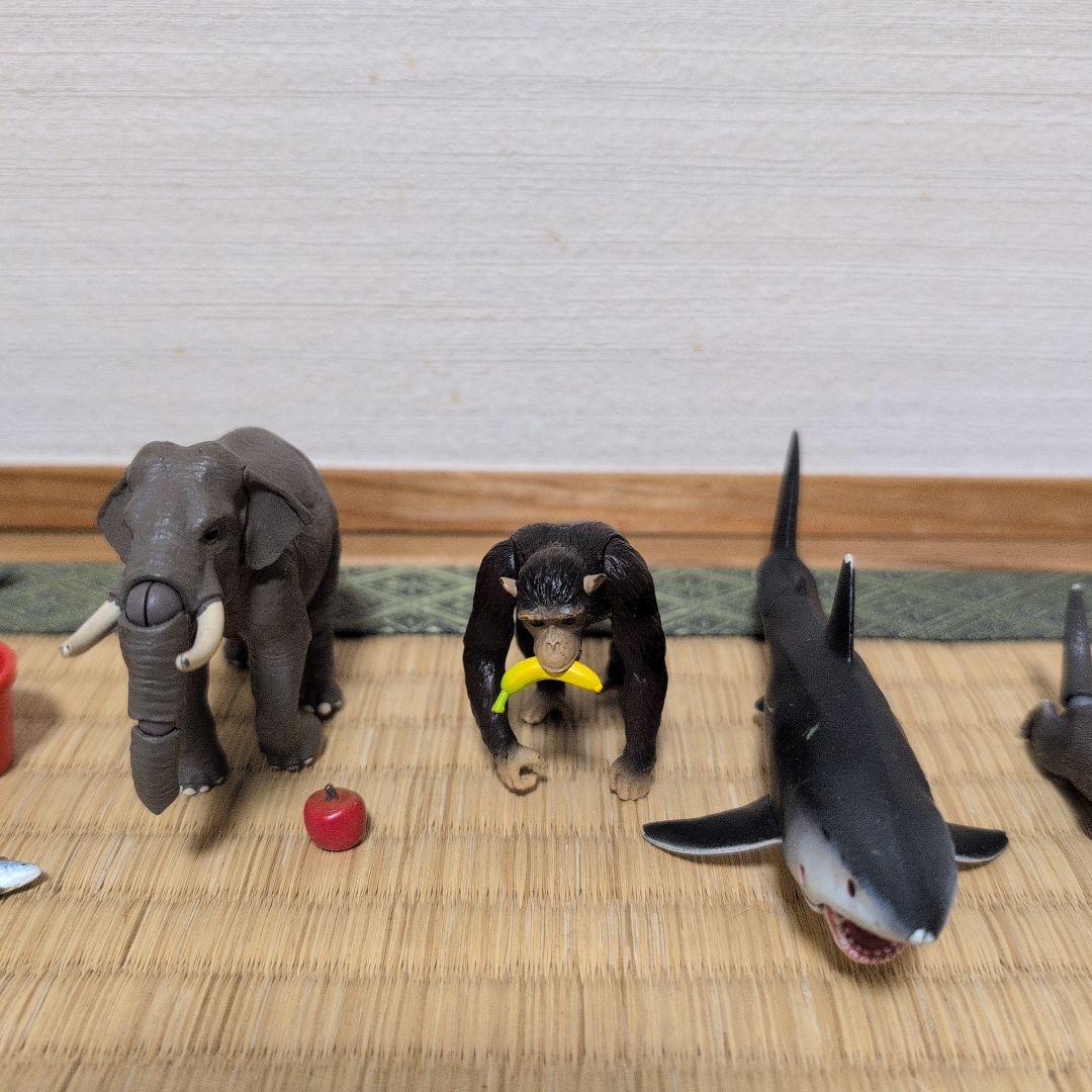 アニア　動物フィギュア　44体