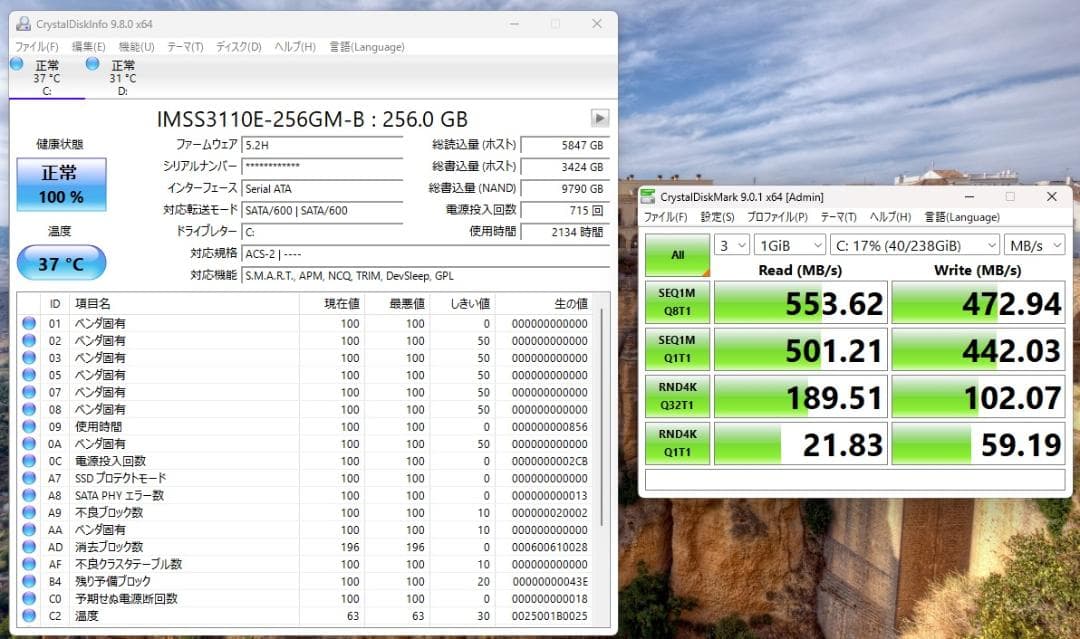 ThinkPad X230　i5／8Gメモリ／256G+128Gデュアルブート