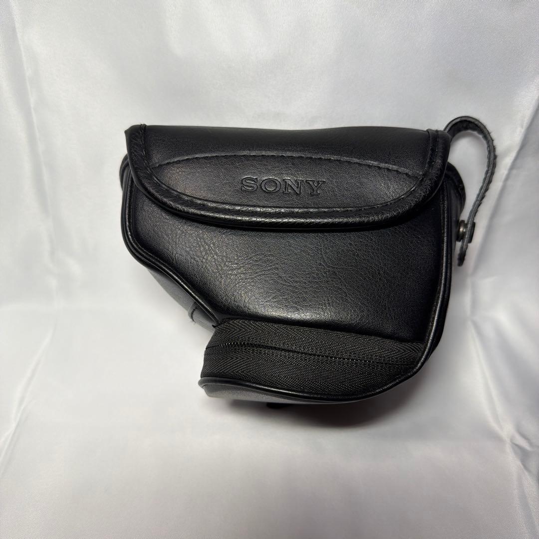 SONY α6000 フルセット［運動会やお遊戯会の撮影に］