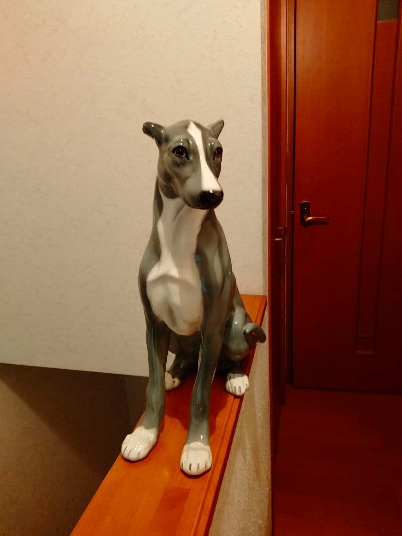 超大型 イタリア グレイハウンド リヤドロ